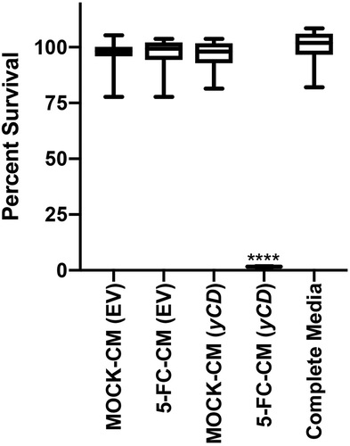 Figure 1. yCD +5-FC conditioned media toxicity testing. EV or yCD cells were fed with media with or without 5-FC and conditioned media collected. The cells were treated with the various undiluted conditioned media (12 replicate wells) and viable cells detected using CellTiter-Glo® (ATP quantification) luminescent cell viability assay. Cell toxicity was compared to complete media. ****: p < .0001