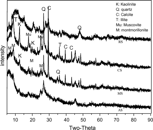 Figure 3. XRD spectra of different NS.
