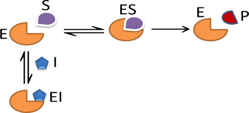 Figure 2. Competitive inhibition.