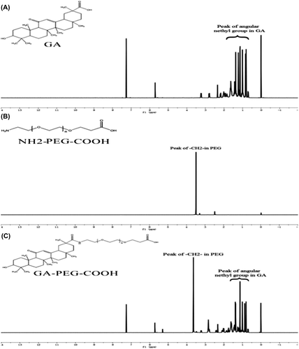 Figure 2. 1H NMR spectra of (A) GA; (B) PEG; and (C) GA-PEG-COOH.