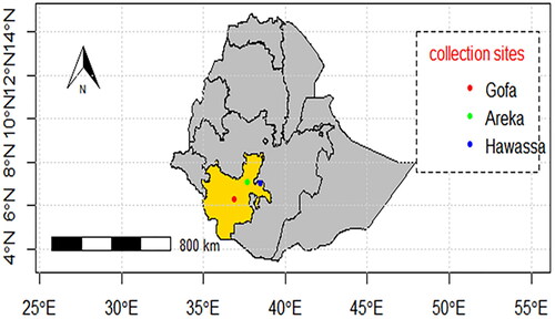 Figure 1. Ethiopia map showing sample collection sites, DMS coordinate system.