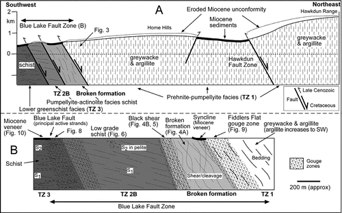 Figure 2  Cross-sections through the northeast margin of the Otago Schist belt. A, Regional cross-section along a line shown in Fig. 1B, across the Hawkdun and Blue Lake Fault Zones. Different textural zones and metamorphic grades in the basement and the Miocene unconformity (dotted) with preserved remnants of overlying Miocene sediments (thick black lines) are depicted. B, Cross-section through the Blue Lake Fault Zone (as indicated in A), compiled from the Manuherikia gorge river section. Approximate locations of diagrams in this paper are indicated.