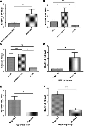 Figure 4. The association of DNA methylation and demethylation intermediates with the clinical characteristics and genetic abnormalities of ALL patients. ALL patients were divided into different groups according to the clinical characteristics and genetic abnormalities, such as lineage, risk stratification, IKZF mutation and hyperdiploidy. Global 5-mC, 5-hmC and 5-fC levels in different groups were analyzed and compared, and results are presented as the mean value ± standard deviations. ns, not significant, ∗P < 0.05, ∗∗P < 0.01.