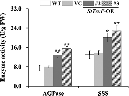 Figure 5. Enzyme activity assays: activities of AGPase and SSS in the leaves of four-week-old WT, VC and StTrxF expressing plants grown under standard/physiological conditions.