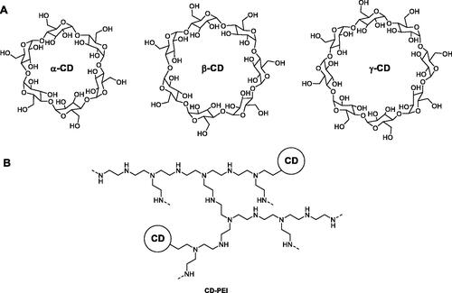 Figure 6. Synthetic pathway for the production of CD-grafted polyethyleneimine as water-soluble adsorbent for BR removalCitation86.