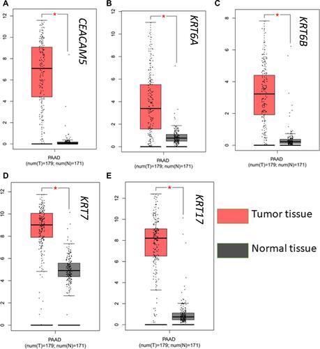 Figure 5 Expression analysis of a CEACAM5, KRT6A, KRT6B, KRT7, KRT17 in normal and tumor pancreatic tissues.