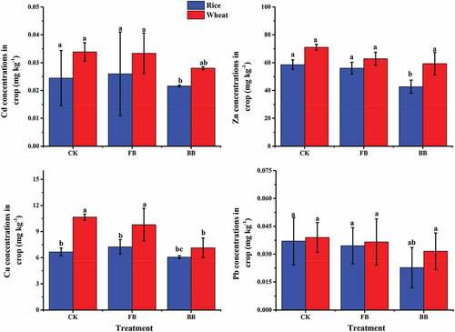 Figure 3. The metal concentrations in rice grain and wheat grain at different treatments.