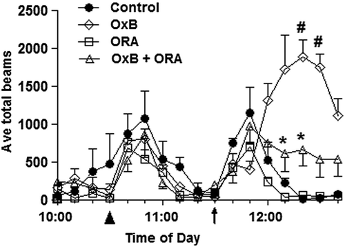 Figure 4. Orexin receptor antagonist response based on beam break behavioral data. Locomotor activity in response to orexin (Ox-B) and orexin receptor antagonist (ORA). Animals were treated with control (vehicle) or ORA at 10:30 am (as indicated, ▲) and treated with aCSF or orexin peptide at 11:30 am (as indicated, ↑). Significant ORA differences between control (vehicle) vs. Ox-B and ORA vs. Ox-B (#P value < 0.05) and between ORA vs. Ox-B and ORA vs. aCSF (*P value < 0.05) are shown.