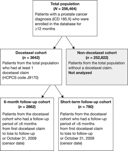 Figure 2.  Patient disposition.