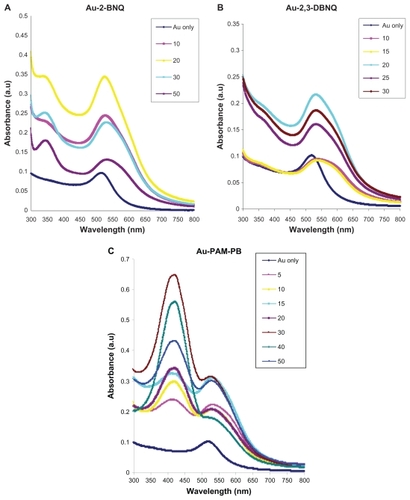 Figure 1 Ultraviolet-visible spectra of Au-2-BNQ, Au-2,3-DBNQ, and Au-PAM-PB nanoconjugates. Using different concentrations of conjugates (10 μg/mL of AuNP solution), an increase in absorbance of (A) Au-2-BNQ at 350 nm and (B) Au-2,3-DBNQ at 360 nm is observed with increasing concentrations of 2-BNQ (10, 20, 30, and 50 μg/mL) and 2,3-DBNQ (10, 15, 20, 25 and 30 μg/mL), respectively, up to 20 μg/mL is seen, and then a decrease. Absorbance increases up to 20 μg/mL and then the absorbance decreases with increasing concentrations of both 2-BNQ and 2,3-DBNQ. (C) Similarly, imilarly, for Au-PAM-PB (5, 10, 15, 20, 30, 40, and 50 μg/mL), the absorbance at 420 nm increases to a maximum at 30 μg/mL and then decreases with an increase in concentration of plumbagin. All experiments were performed three times with similar results.Abbreviations: Au, gold; 2-BNQ, 2-bromo-1,4-naphthoquinone; 2,3-DBNQ, 2,3-dibromo-1,4-naphthoquinone; PB, plumbagin; PAM, polyethylene glycol-amine.