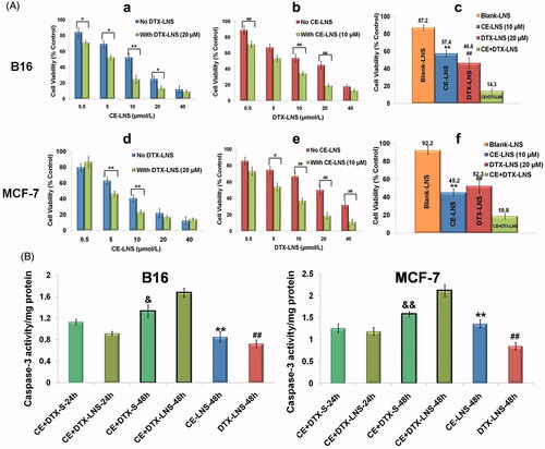Figure 4. The anti-proliferation effect and apoptosis of CE + DTX-LNS in vitro.(A) Effects of different treatments on cell viabilities of B16 and MCF-7 cells, (n = 3). Cells were treated with CE-LNS (No DTX-LNS), DTX-LNS (No CE-LNS), CE-LNS + DTX-LNS (with DTX-LNS 20 μM or with CE-LNS 10 μM) at different molar ratio and CE + DTX-LNS. After 48 h incubation, cell viabilities were evaluated by MTT assay. * p < 0.05, ** p < 0.01, statistically significant difference between CE-LNS and CE + DTX-LNS; # p < 0.05, ## p < 0.01, statistically significant difference between DTX-LNS and CE + DTX-LNS. (B) Caspase-3 activity after different treatments on B16 and MCF-7 cells. ** p < 0.01, statistically significant difference between CE-LNS and CE + DTX-LNS; ## p < 0.01, statistically significant difference between DTX-LNS and CE + DTX-LNS; & p < 0.05, && p < 0.01, statistically significant difference between CE + DTX-solution and CE + DTX-LNS.