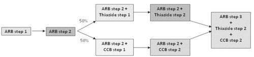Figure 3.  Treatment algorithm.  ARB step 1: Olmesartan 10 mg/candesartan 8 mg  ARB step 2: Olmesartan 20 mg/candesartan 16 mg  ARB step 3: Olmesartan 40 mg/candesartan 32 mg  Thiazide step 1: Hydrochlorothiazide 12.5 mg/bendroflumethiazide 2.5 mg  Thiazide step 2: Hydrochlorothiazide 25 mg/bendroflumethiazide 5 mg  CCB step 1: Amlodipine 5 mg  CCB step 2: Amlodipine 10 mg.
