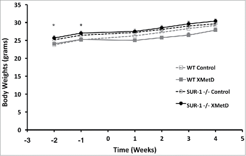 Figure 3. Body Weight. Body weight (in g) in wild-type mice treated with control antibody (n = 10), wild-type mice treated with XMetD (n = 10), SUR-1 −/− mice treated with control antibody (n = 10), SUR-1 −/− mice treated with XMetD (n = 10). * P≤0.02 wild-type vs. SUR-1 −/−.