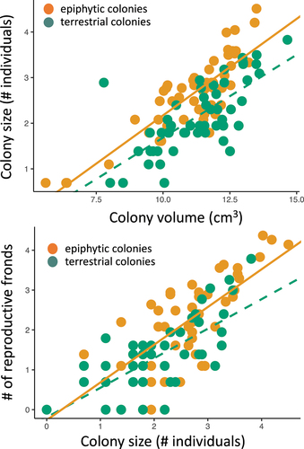 Figure 2. (Top) differences in the density of individuals within colonies growing epiphytically (orange points) and after becoming dislodged on the forest floor (green points). (Bottom) differences in the rate of spore production between colonies growing epiphytically (orange points) and after becoming dislodged on the forest floor (green points).