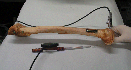 Figure 8. Experimental setup for obtaining ground truths by direct pointer-based digitization. The ground truth of the DLH was obtained after image acquisition by inserting a custom-made steel rod through the hole and then digitizing both the top and bottom centers of the rod using a sharp pointer. [Color version available online.]