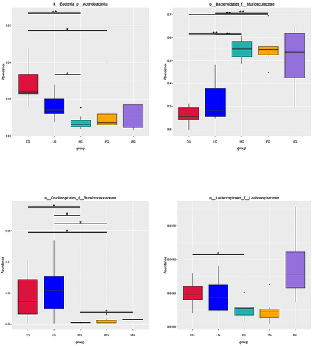 Figure 6 Boxplot of main differential bacteria relative abundance. Horizontal lines represent the difference between the groups. *Indicates significant difference between the two groups (p value <0.05). **Indicates the difference between the two groups was significant (p value <0.01).