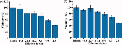 Figure 9. Examination of the cell viability of the cells infected by SLT-1-containing cell lysate derived from E. coli O157:H7 (OD600 = ∼1), which was estimated to have SLT-1 with the concentration of ∼11.1 nM. Thus, 2.8-fold diluted cell lysate contained ∼3.96 nM of SLT-1. (A) L929 cells cultured in DMEM medium (∼4 × 104 cells mL−1, 100 μL) were incubated with the cell lysates (100 μL), which were diluted with different factors, for 1 h. The cell lysate was diluted by DMEM medium. (B) Hep G2 cells cultured in MEM medium (∼4 × 104 cells mL−1, 100 μL) were incubated with the cell lysates (100 μL), which were diluted with different factors, for 1 h. The cell lysate was diluted by MEM medium. Blank stands for the control sample that was not treated with SLT-1 containing cell lysate. Three replicates were conducted.