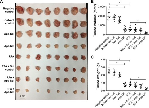 Figure 4 Single dose of Apa-MS but not Apa-Sol inhibited the in vivo growth of HCC cells and enhanced the effect of RFA on subcutaneous HCC model. The experimental animals were divided into the following groups: no-treatment group (negative control), solvent control group, Apa-Sol group, Apa-MS group, RFA group, RFA + solvent control group, RFA + Apa-Sol group and RFA + Apa-MS group. Results are shown as (A) photographs, (B) volume (mean ± SD, n = 8) and (C) weight of tumors (mean ± SD, n = 8). *P<0.05.