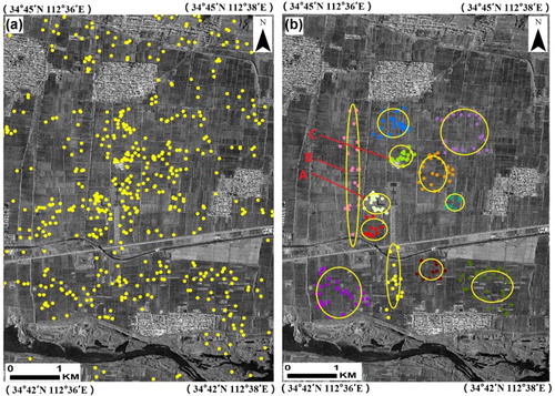 Figure 7. Prediction of archeological maps overlapped on the Cosmo-SkyMed SAR image, (a) initial result by applying the two-step decision-tree approach, (b) fine mapping considering the spatial distribution and topology of point-clouds extracted. Cosmo-SkyMed data were provided by the Italian Space Agency, under license agreement from Archeocosmo.