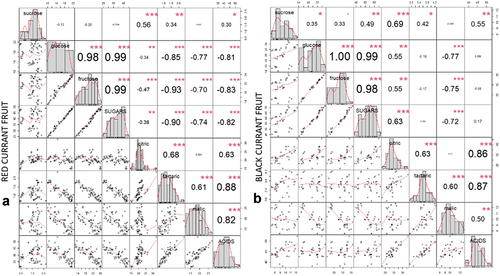 Figure 2. Correlation matrix of correlation tests between primary metabolites in red currant fruit (A) and black currant fruit (B). The values are R-values (Pearson’s correlation coefficient) for the correlation tests between the variables corresponding to x-axis and y-axis. The stars top-right to the R-values indicate the significance of the correlation: *** indicates p < .001, ** indicates p < .01, and * indicates p < .05. The midline histograms show the distribution of each set of data. The bottom-left scatterplots show correlation between the variables corresponding to the x-axis and y-axis.