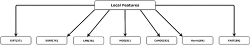 Figure 3. Classification of local feature descriptors