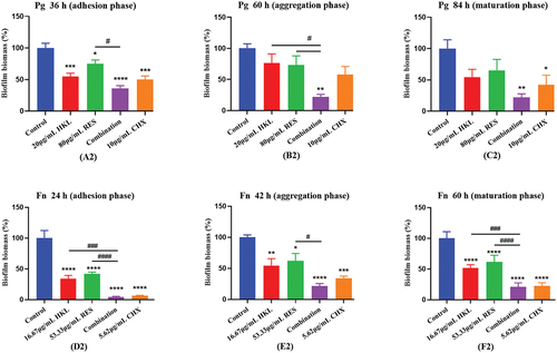 Figure 3. Effect of drugs on the Pg and Fn biomass at each stage of biofilm formation (n=3).