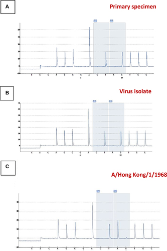 Figure 5 Pyrosequencing analysis of original specimen. An RT-PCR assay with subsequent pyrosequencing (PSQ) to detect the substitution of isoleucine to methionine at amino acid position 38 (I38M) of the influenza A(H3N2) cap-dependent endonuclease was designed and applied to (A) influenza virus (original specimen) carrying substitution I38M in cap-dependent endonuclease (PA) (B) cell-cultured A(H3N2) PA-I38M, and (C) reference virus A(H3N2) A/Hong Kong/1/2022. The primary sample and the cell cultured virus showed the nucleotide sequence ATG coding for methionine, the sensitive wild-type virus showed nucleotide codon ATA coding for isoleucine.