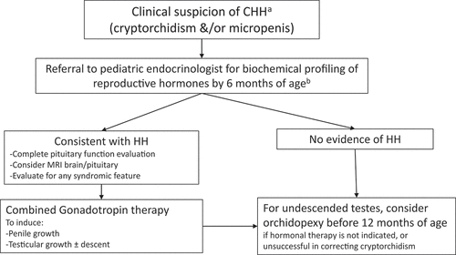 Figure 1. Proposed approach to suspected absent minipuberty in male neonates and infants.