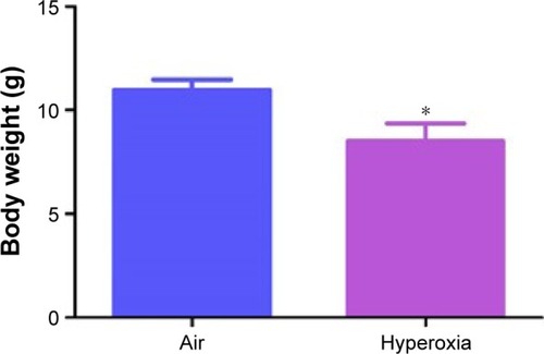 Figure 1 Hyperoxia exposure decreases body weight in neonatal mice.