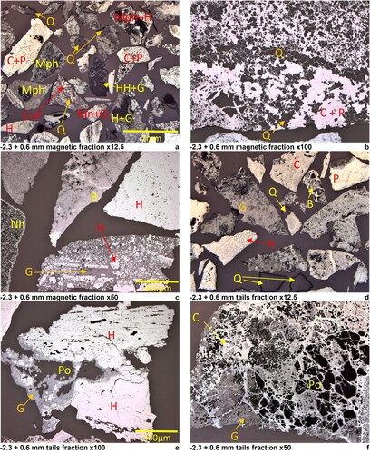Figure 2. Representative optical photomicrographs of particles from the magnetic and tails fractions from IRMS test #2. Key to Figure labels: H – hematite, HH – hydrohematite, Mph – microplay hematite, Nh – sub-micron hematite, Mn – manganese oxide, G – goethite, B – braunite, C – cryptomelane, P – pyrolusite, Po – porosity and Q – quartz.