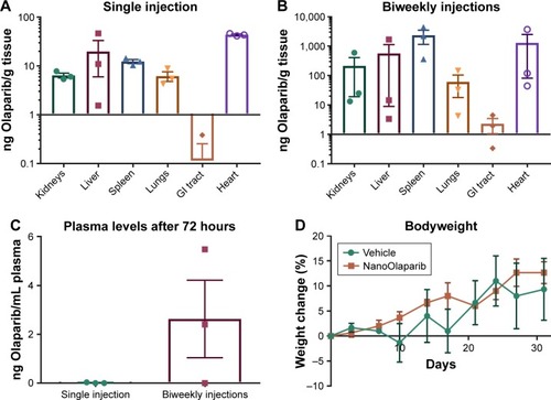 Figure 4 Comparison of Olaparib accumulation in various tissues at 72 hours after (A) a single 50 mg/kg dose of NanoOlaparib or (B) 50 mg/kg administered twice weekly for 4 weeks in healthy mice. (C) Comparison of Olaparib in plasma at 72 hours following a single injection or after the final dose of twice weekly injections for 4 weeks. (D) Bodyweight changes in healthy mice treated with 50 mg/kg NanoOlaparib (twice weekly for 4 weeks) or a volume equivalent of empty nanoparticles indicated no gross toxicity.Notes: The drug levels in the spleen, lungs, and plasma followed a normal distribution while drug levels in the kidneys, liver, GI tract, and heart did not follow a normal distribution. Student’s t-tests (P≤0.05) and Mann–Whitney U tests (P≤0.05), revealed no statistical significance.Abbreviation: GI, gastrointestinal.