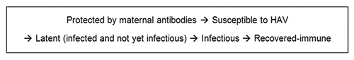 Figure 5. Natural history of HAV disease: states and flows between states.