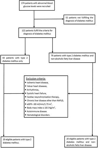 Figure 1. The study recruitment steps. eGFR: estimated glomerular filtration rate; NAFLD: nonalcoholic fatty liver disease.