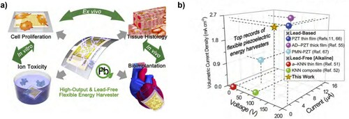 Figure 22. (a) Scheme illustrating the biocompatibility of the high-output lead-free KNN-based piezoelectric energy harvesting device. (b) Comparison between this study and previous studies [Citation323]. (Reproduced from Ref [323] ,licensed by American Institute of Physics Publishing, open access article distributed under the terms and conditions of the Creative Commons Attribution (CC BY) license (http://creativecommons.org/licenses/by/4.0/)).