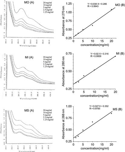 Figure 2 Solubility of phenolic extracts added to pineapple juice: (A) Concentration dependence of absorption spectra; (B) linear relationship between concentration and absorbance at maximum wavelength. MO: Moringa oleifera, MI: Morus indica, MS: Mentha spicata.