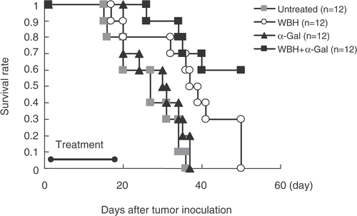 Figure 5. Kaplan--Meier survival curve for the mice in the untreated, WBH alone, α-GalCer alone, and WBH combined with α-GalCer groups. Mice were injected subcutaneously with Colon26 cells and tumors were allowed to grow for three days before initiation of treatment. Each treatment perfomed three times a week for two weeks. WBH combined with α-GalCer group and untreated curves are significantly different (p < 0.001).