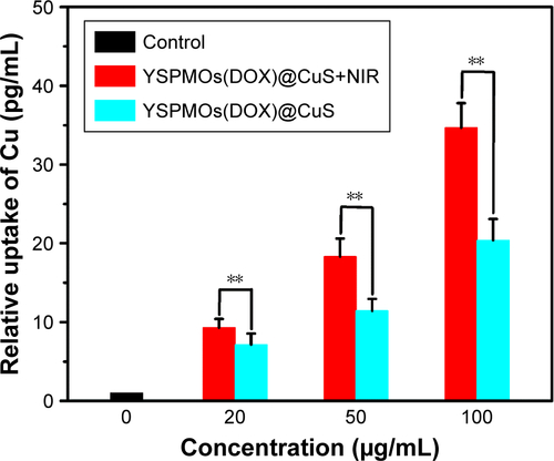 Figure S5 Relative Cu uptake in MDA-MB-231 cells treated with the YSPMOs(DOX)@CuS with or without NIR irradiation at different concentrations for 6 h.Note: **P<0.01.Abbreviations: DOX, doxorubicin; NIR, near infrared; YSPMOs, yolk–shell-structured periodic mesoporous organosilica nanoparticles.