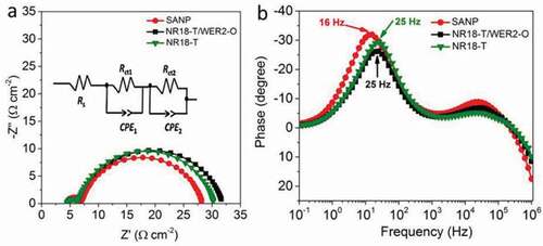 Figure 5. EIS measurements (a) Nyquist and (b) Bode plots of devices based on SANP, 18NR-T and 18NR-T/WER2-O sensitized with a D149 dye