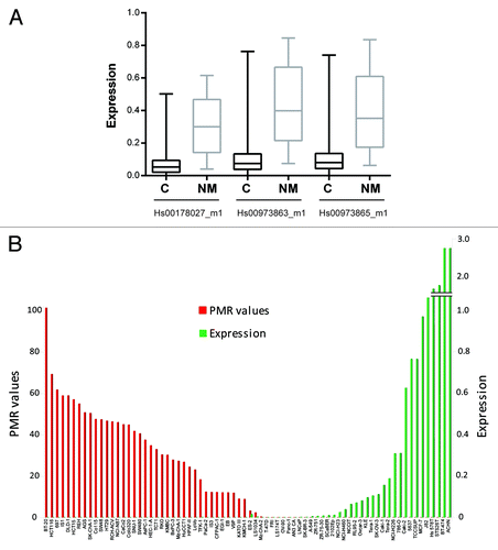 Figure 2. Expression and promoter methylation status of DCLK1. (A) Relative expression of DCLK1 in colorectal cancer (C; n = 50) and normal mucosa (NM; n = 20) samples assessed by three real-time RT-PCR assays. The assay Hs00178027_m1 covers three transcript variants; one with and two without a CpG island in the core promoter, whereas the two assays Hs00973863_m1 and Hs00973865_m1 cover the transcript variant with a CpG island in the core promoter (NM_004734.4). (B) PMR values (red) for DCLK1 (NM_004734.4; assay ID: Hs00973863_m1) and expression values (green) for 74 cell lines derived from 15 different cancer types. The expression levels are displayed as ratios between the median quantity of DCLK1 and the average quantity of the two controls VDAC2 and PES1.