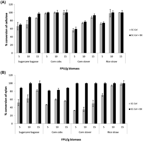 Fig. 2. Conversion efficiency of different pretreated agricultural biomass using SC-Cel and effects of downstream enzyme supplementation.