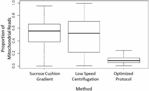 Figure 1. Box plot showing the proportion of mitochondrial reads after three different nuclei preparation protocols. Our optimized protocol yields the lowest proportion of mitochondrial reads