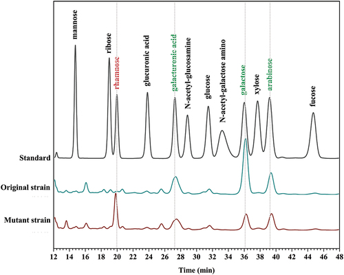 Figure 2. Compositions and contents of monosaccharides in bio-degumming system analyzed by HPLC. The fermentation broth was obtained from original strain or mutant strain in ramie fibers bio-degumming system after cultivating for 5 h (the late logarithmic phase).