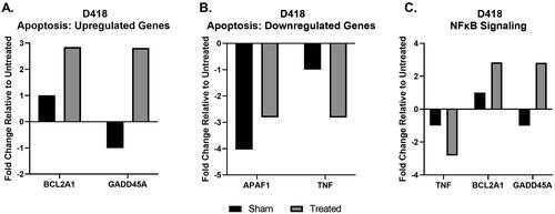 Figure 7. Differential gene expression patterns of surviving D418 cells. Bar graphs representing the fold changes of differentially expressed genes in the surviving D418 cells, and sham-treated cells relative to untreated D418 cells. Genes are categorized by relevant pathways identified by functional enrichment analysis and their regulation (up or down) pattern. Functional analysis of differential expression changes in the D418 group revealed pathways associated with A, B) Apoptosis and C) NFκB signaling.