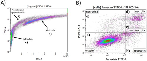 Figure 1. Differentiation of the tumor cell death forms by AnnexinV/PI staining and measurement with flow cytometry. A) Characteristic changes of the morphology of the cells. The apoptotic and necrotic cells (a) lose in granularity and size. B) Five different gates were set to differentiate viable cells (a; AxV-/PI-), apoptotic cells (b; AxV+/PI-), secondary necrotic cells (c; AxV+/PIlow) and primary necrotic cells in two gates (d, e; PI+) were chosen. Exemplarily data of MCF-7 breast cancer cells 24 h after treatment with 44 °C spiral applicator heating are displayed.