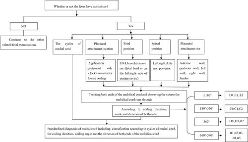 Figure 11 Standardized diagnosis process of nuchal cord.