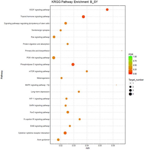 Figure 1. Analysis the features and functions of lncRNA source genes