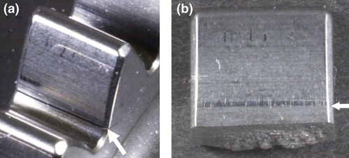 Figure 11 Fractured gear treated by cavitation peening. (a) The arrow shows the origin of the break. (b) The arrow shows the limits of the contact area.