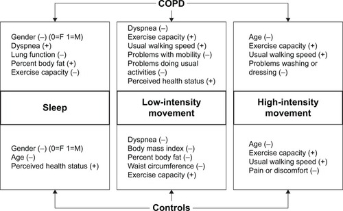 Figure 3 A schematic comparing the characteristics associated with sleep, low-intensity movement, and high-intensity movement for patients and controls.