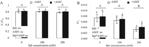 Figure 4. Effects of AMF inoculation on Fv/Fm (A) and △I/Io (B) of alfalfa leaves under salt stress.