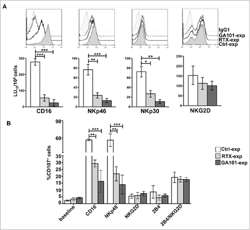 Figure 4. CD16 engagement by anti-CD20-opsonized targets results in the impairment of FcϵRIγ- and CD3ζ-dependent NKp46- and NKp30-mediated killing. (A) Primary cultured NK cells from V/F and V/V individuals (n = 5) were isolated upon 18 h co-culture (2:1) with biotinylated rituximab (RTX-exp)-, obinutuzumab (GA101-exp)-opsonized or non-opsonized Raji (Ctrl-exp). Cells were stained as indicated for FACS analysis and tested in 51Cr-release redirected killing assays toward P815 FcR+ cells in presence of Abs for the indicated receptors. (Top) The overlays of histograms from one representative experiment of five performed are shown. (Bottom) Lytic units (LU) from five independent experiments are shown. Bar graphs depict mean ± SEM. *p < 0.05, **p < 0.005, ***p < 0.0005. (B) NK cells as in A were stimulated for 4 h with the indicated plastic-immobilized mAbs. The percentage of CD107a+ cells was evaluated by FACS analysis gating on CD56+ cells. Data (mean ± SEM) from three independent experiments are shown. **p < 0.01, ***p < 0.001.